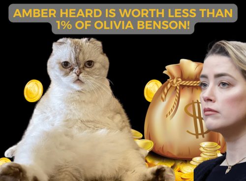Amber heard is worth less than 1% of Olivia Benson!