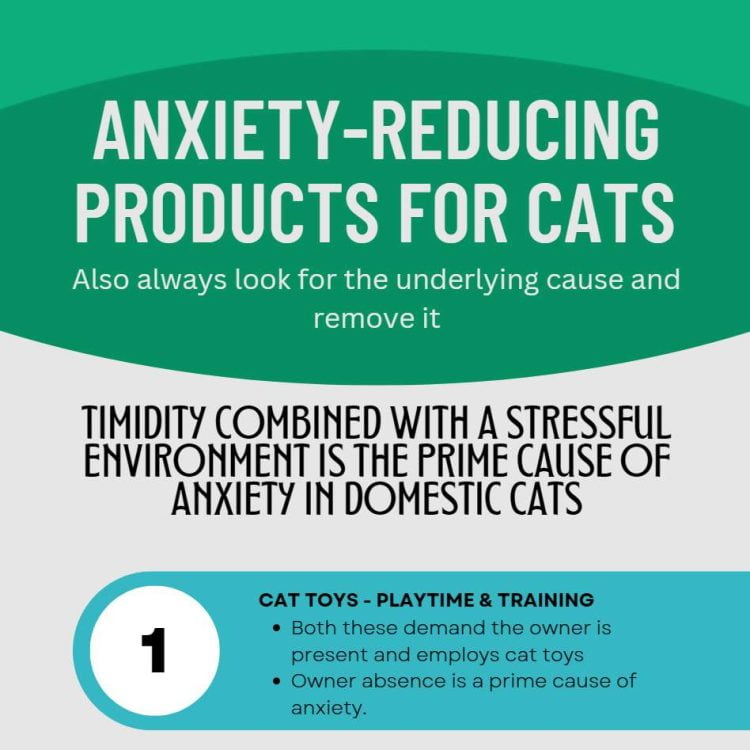 Anxiety-reducing products for cats