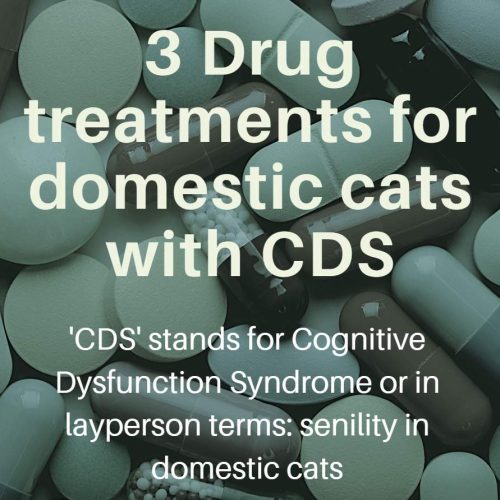 CDS drug treatments for cats