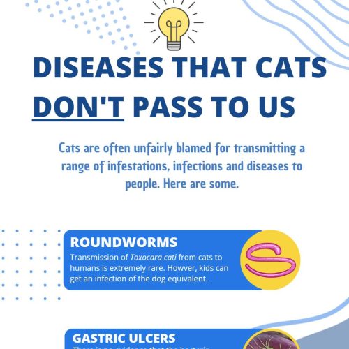 Diseases that cats don't pass to us