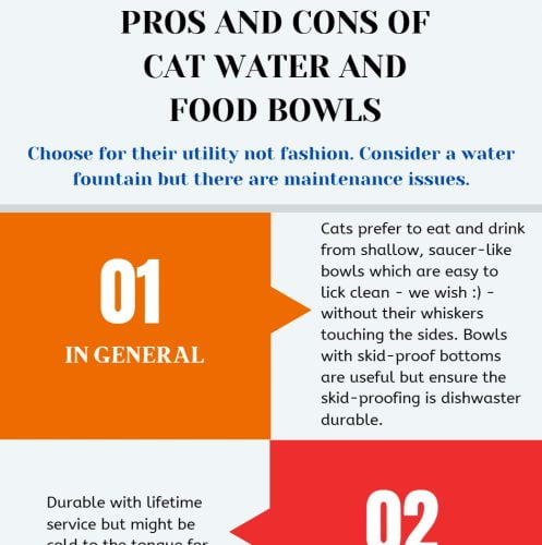 Food and water bowls infographic