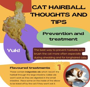 Hairball tips in an infographic
