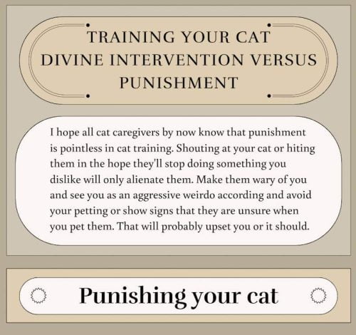 Infographic on cat training - divine intervention versus punishment