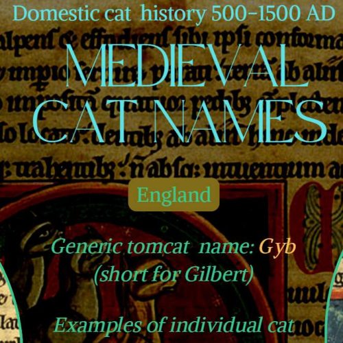 Medieval cat names
