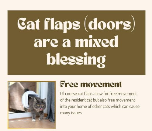 cat flap