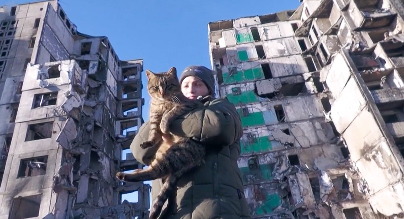 11-year-old girl feeds abandoned cats in devastated Ukraine. The girl's name is Veronika Krasevych.