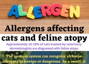 Allergens affecting cats