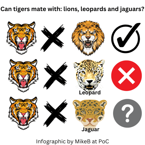 Can tigers mate with lions, leopards and jaguars?