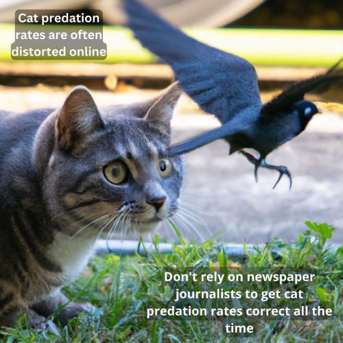 Don't trust newspaper journalists to get cat predation rates correct!