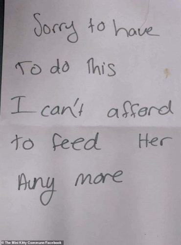 Note left by a cat owner with her seven cats when she dumped them at a veterinary clinic in Australia