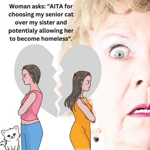 Woman asks AITA for not lending her estranged sister money because of veterinary bills for her cat