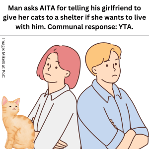 Man asks AITA for demanding that his gf gives up her cats if she lives with him