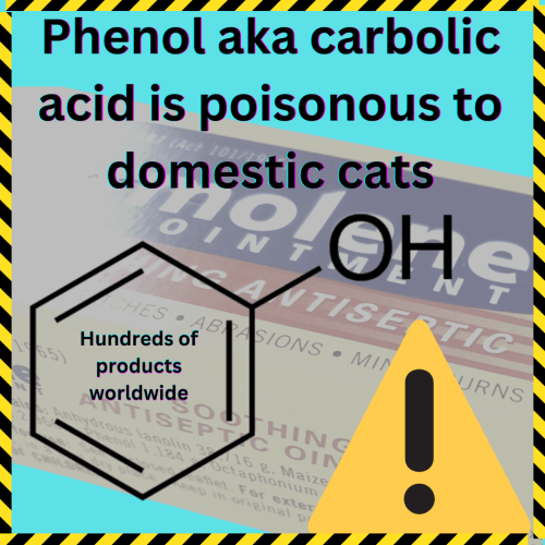 Phenol aka carbolic acid is poisonous to domestic cats