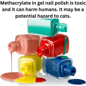 Methacrylate in gel nail polish is toxic and can harm humans. It may be a hazard to cats