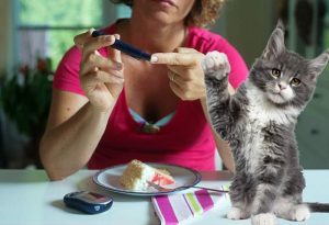 Can cats detect hypoglycemia in diabetic owners?