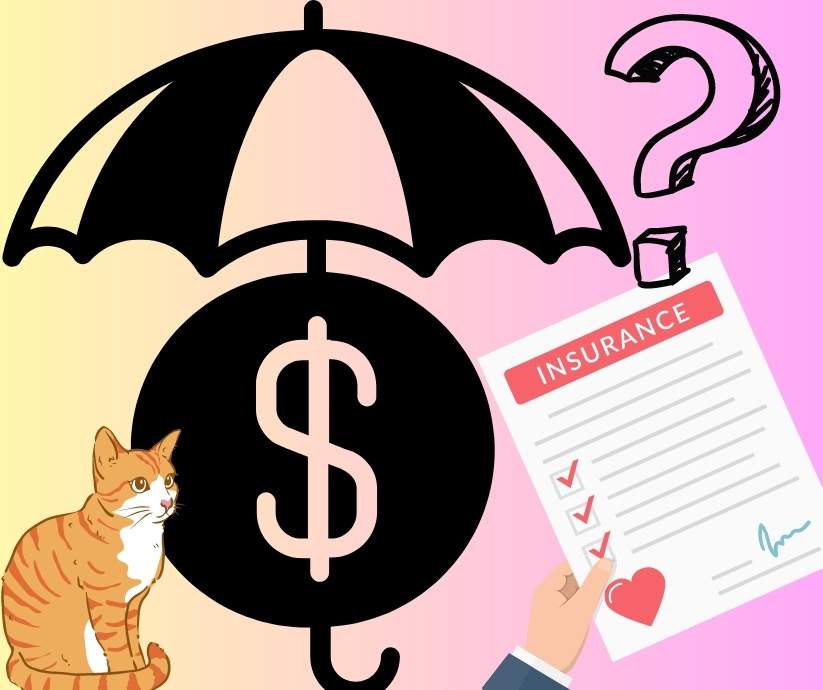 Do cats need health insurance?