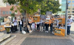 Great team at Vigil For Brandy The Cat today! "We had Channel 7 and Daily Mail Australia coverage." - organiser