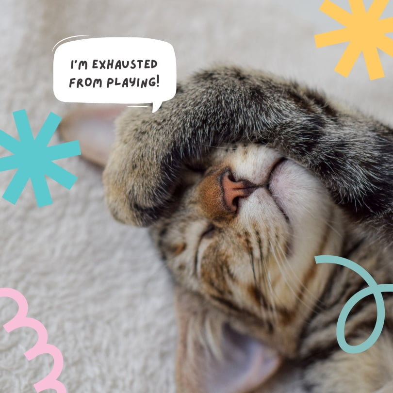 I'm exhausted from playing!