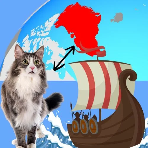 Vikings brought the cat to North America?