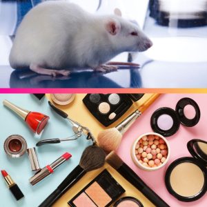 Animal testing for cosmetics