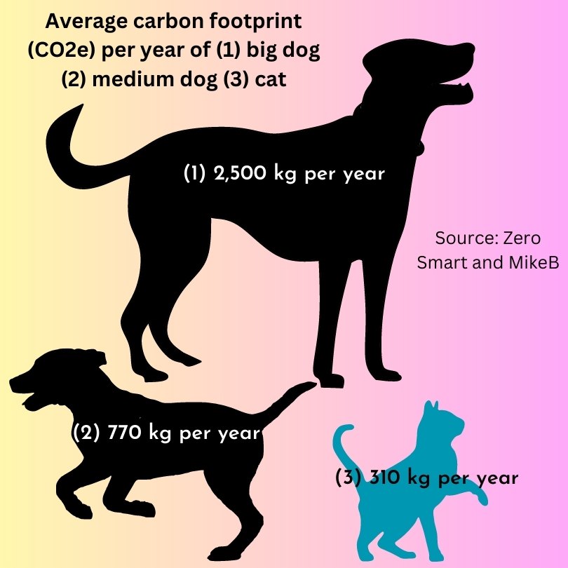 Carbon footprint equivalent (CO2e) of a pet cat