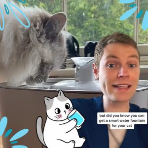 Cat water fountain recommended by Ben the Vet on TikTok