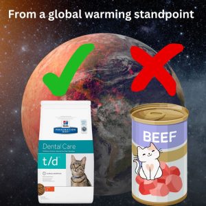 Dry versus wet pet foods from a global warming standpoint