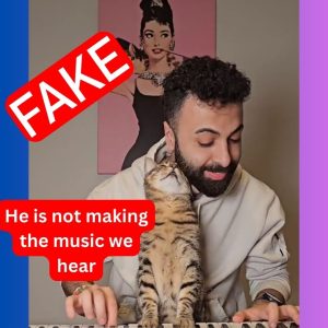 Fake - he is not making the music we hear