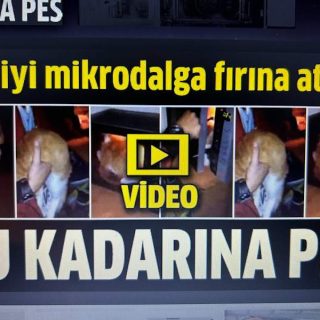 "Man killing cats For more information search for Kediyi Mikrodalga on Google."