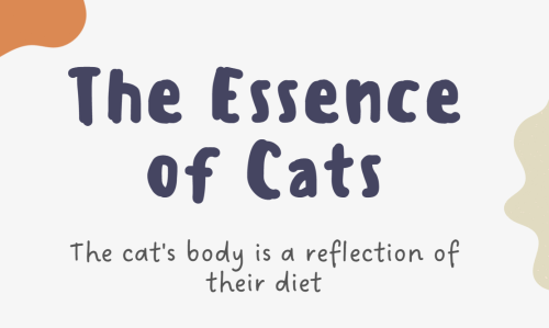 The Essence of Cats