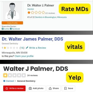 Walter J Palmer DDS