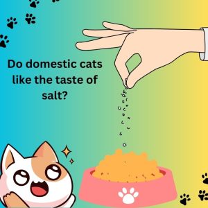 Do domestic cats like the taste of salt?