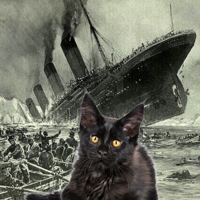 Legend of Jenny the Titanic cat