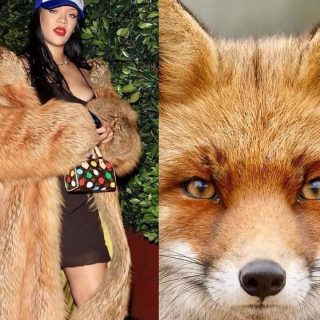 Rihanna wears fox fur