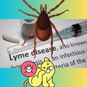 Private clinics are cashing in on insurance money with false Lyme disease diagnoses allegedly