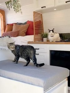 This mobile home looks comfy for two cats who travel America with their owner
