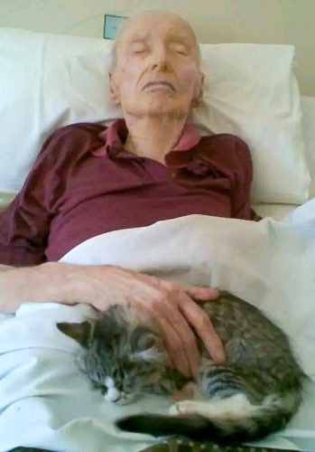 Dying man with dementia comforted by the presence of a cat