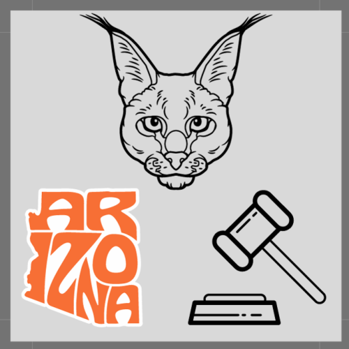Caracals are legal in Arizona with a license