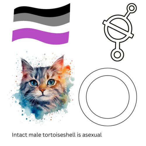 Intact male tortoiseshell is asexual