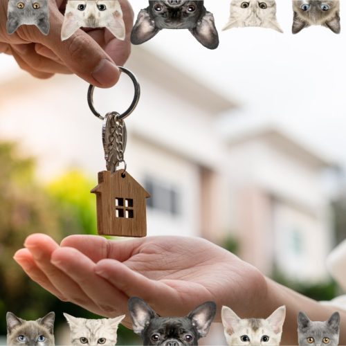Landlords have warned that they will increase rental prices if they are forced to accept tenants with pets under a new bill going through Parliament called the Renters' Reform Bill.