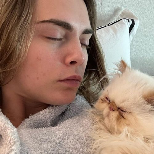 Picture on Instagram which compares Cara Delevingne's nose with the nose of one of her Persian cats in a stark comparison. Cara lives with two Persian cats at the moment. I have presumed that she has adopted these cats and is not fostering them!