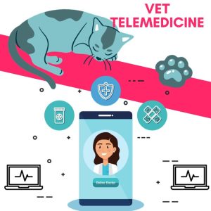 Vet telemedicine is proving to be unpopular