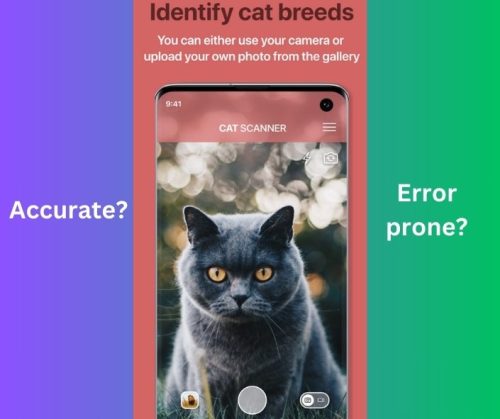 App to identify cat breeds