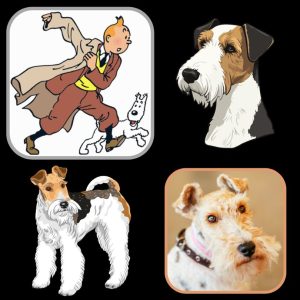 Wire fox terrier and Tintin