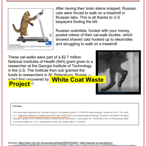 White Coat Waste Project uncovers more taxpayer dollars waste to fund a Kremlin run animal testing laboratory in Russia to the tune of around three quarters of $1 million