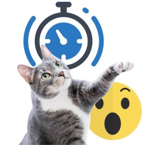 Cats have very fast reaction times which are 6 times faster than ours