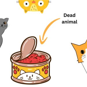 Domestic cats can be scavengers and it is probably correct to say that this applies to all small wild cat species as well.