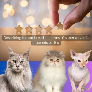 Describing the cat breeds in terms of superlatives is often misleading