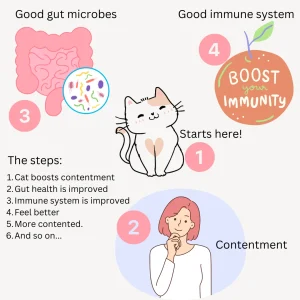 Gut-brain axis and how a cat can help boost your immune system
