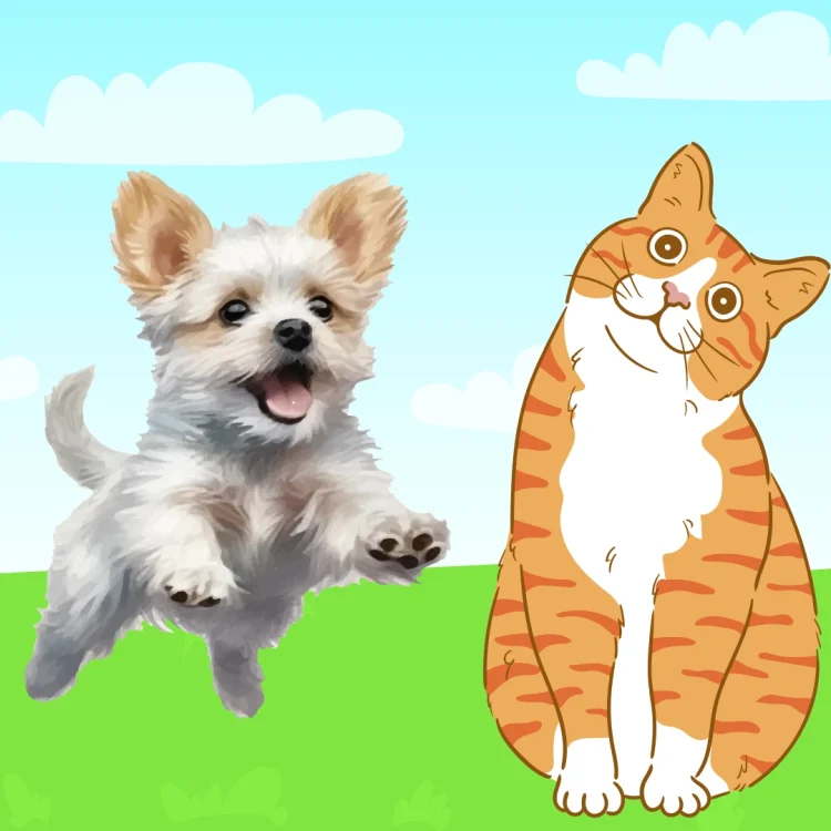 Neither positive reinforcement nor punishment, there is an "intermediate space" between the two in dog/cat training